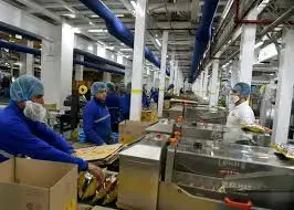 تشغيل خطوط الإنتاج